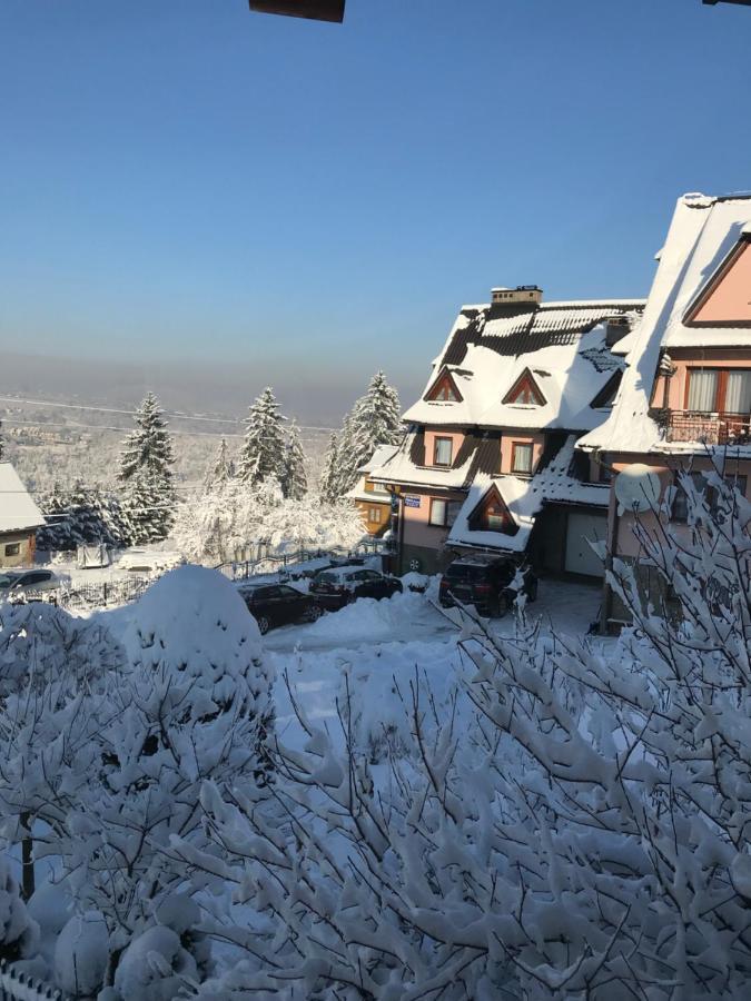 Pokoje U Borzana Bed & Breakfast Bialy Dunajec Luaran gambar